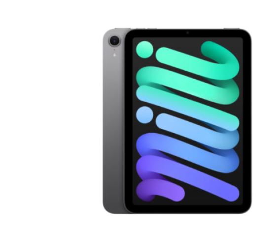 APPLE - IPAD Mini 256GB